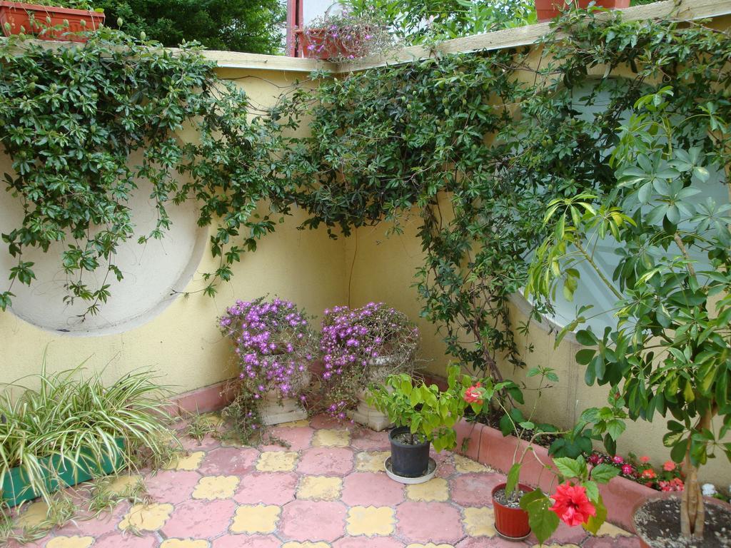 Stela Guest House Tsarevo Camera foto