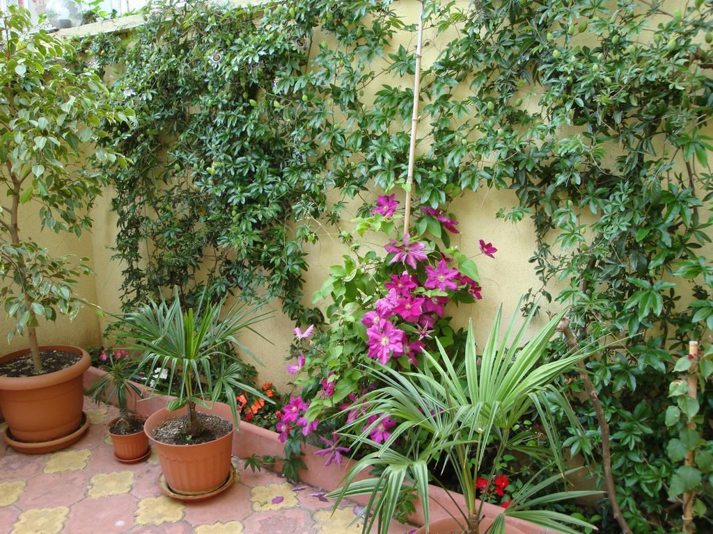 Stela Guest House Tsarevo Esterno foto